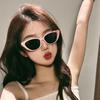 4PCS Sunglasses for Women Eyeglasses Fashion Eyewear with Retro Style Hip-hop Small Cat Eye Sunglasses