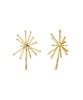 Findelise Signature Star Earrings