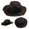 Roleplay Cowboy Hat Wool Fedoras Hat Music Festival Sun Hat Adult Costume Headwear