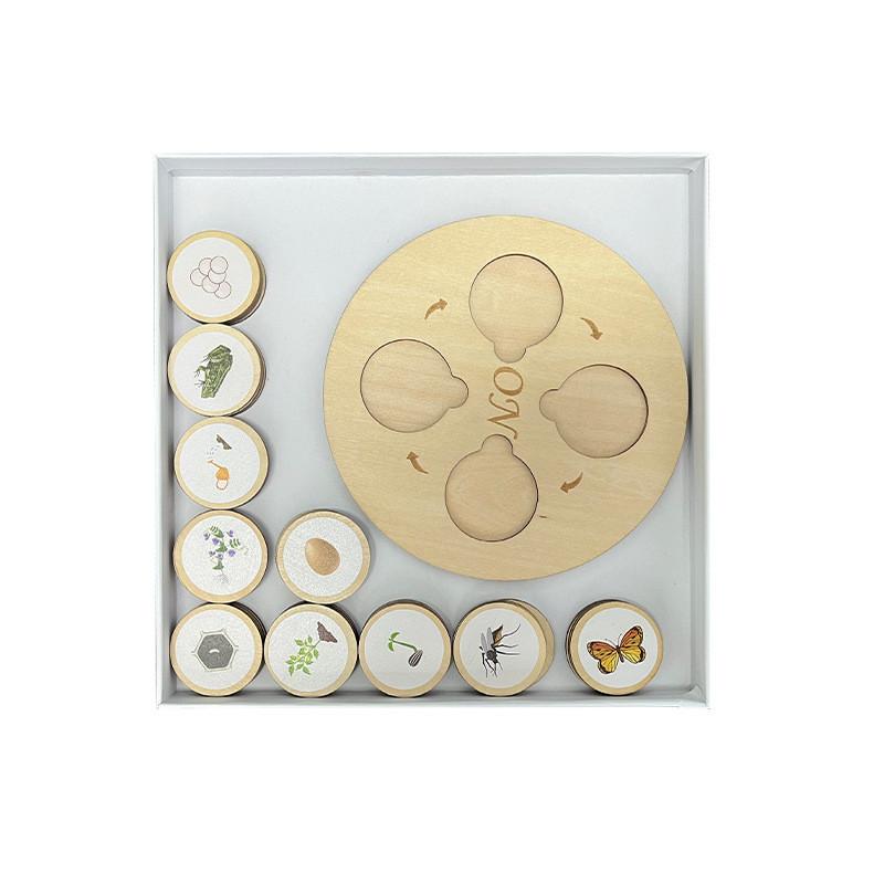 Wooden Kids Montessori Life Cycle Puzzle Educational Toy Cognitive Development