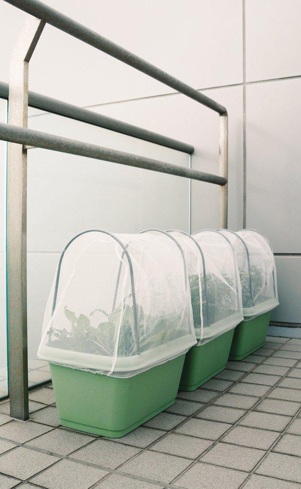 Shimomura Planning Vegetable Garden Planter 520 with Insect Green Home Group Set of 3 31568 Net, Polypropylene, Use, Planting, Vegetables, Flowers,