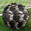 Snake and Skull Indoor Soccer Ball Size 5 Colorful All Ages Machine Stitched PVC Competition Ready Durable High-Bounce