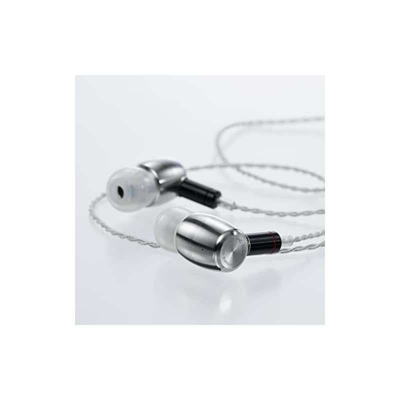 Radius HP-W200 Double V Series Stainless Steel Housing High-Resolution Audio Earphones: High-Resolution Audio, MMCX Detachable Cable, Stainless Steel