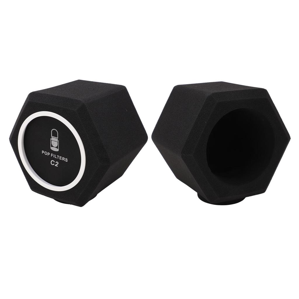 C2 Microphone Sponge Cover High Density Microphone Windscreen Professional Microphone Recording Isolation Booth