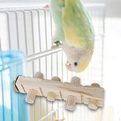Bird Activity Center Wooden Perch Toy for Small And Medium Avian Pets