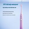 Flyco Adult Sonic Electric Toothbrush FT7105 CN Plug (adapter Included)