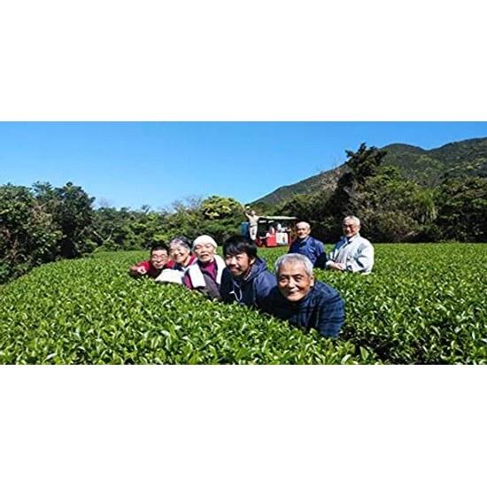 This Is Yakushima Oolong Tea We Created. Natural Cultivation 100g Cold Brew Pesticide-free No Chemical Fertilizers Zero Pesticide Residues.