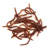 Soft Lures Sets Silicone Swimbait Shad-Grub Worm-Lifelike-Fake Earthworm Bait-Fishing Lures Sea Baits Tackle Accessories