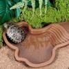 Turtles Habitat Bowl With Ergonomic Steps 4.3cm Depth Scratch Resistant For Indoor and Outdoor Use