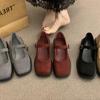 French Retro Platform Thick Heel Mary Jane Single Shoes Women's 2025 Spring and Autumn New Versatile Light Mouth Square Head Grandma Shoes