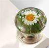 Vintage Round Cabinet Knobs Resin Crystal Drawer Cabinet Knobs Transparent Animal Epoxy Pull Handles for Wardrobe Dresser