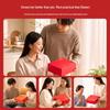 Pangao Infrared Heating Waist Massager Gift Set CN plug (adapter included)