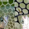 DAIWA Snap Presso Snap SSS