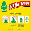 Little Trees 17308 Rose Thorn 17308