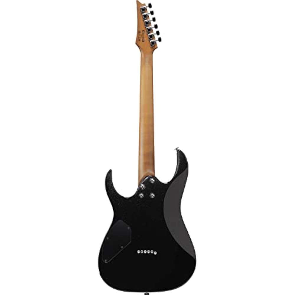 Ibanez (Ibanez) GIO series electric guitar Black Night GRG121SP-BKN