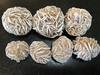 Hot Selling Crystal Mineral Natural Black Desert Rose Rough Stone, Used for Gifts and Home Decoration