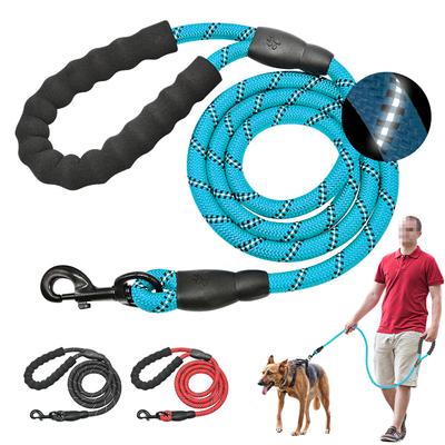 Cani – Collari e guinzagli per cani