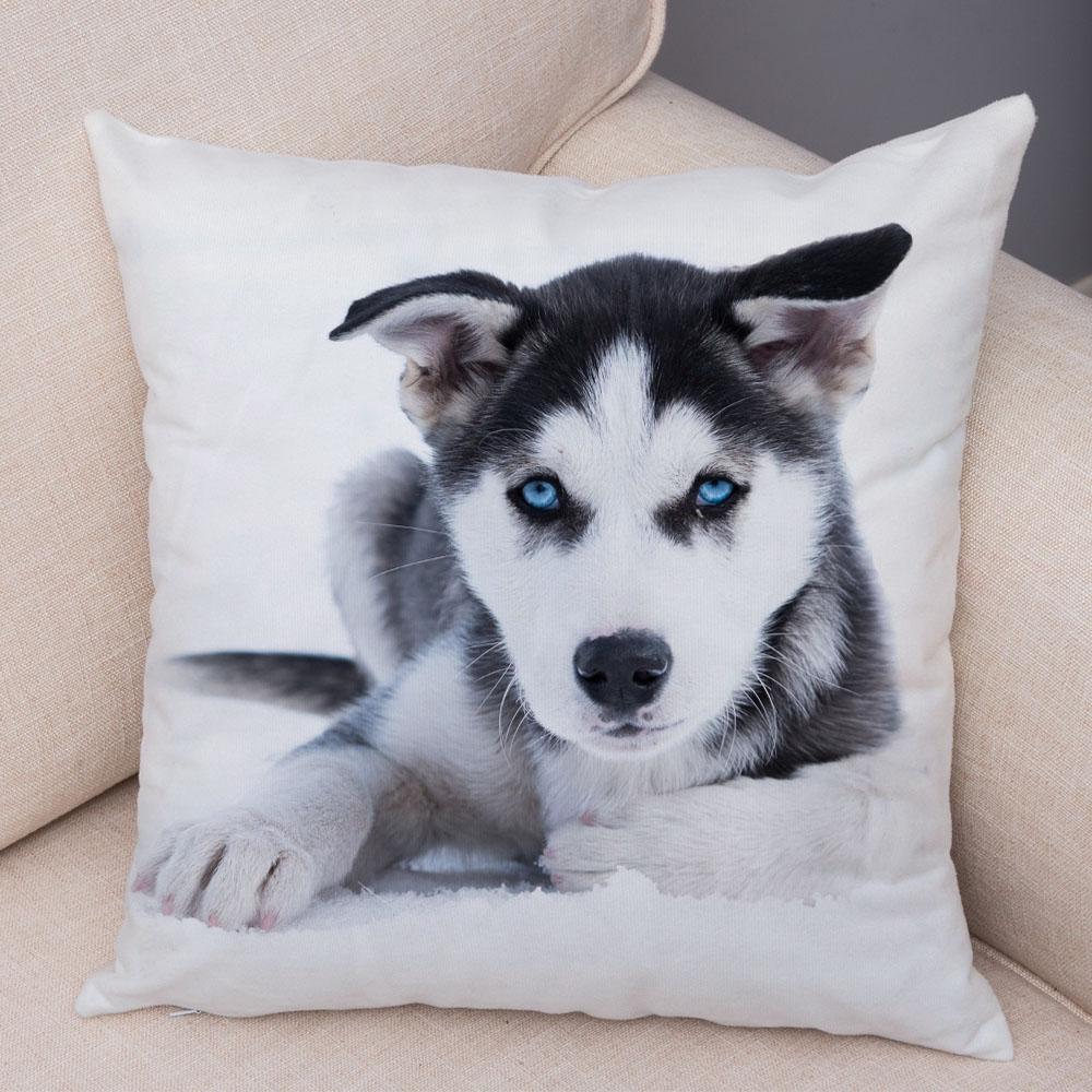 Decor Cute Siberian Husky Pillowcase Pet Dog Printed Super Soft Short Plush Pillow Case 45*45cm Animal Cushion Cover for Sofa