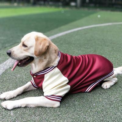 Baseball Uniform Pet Clothing In Large Dogs Golden Retriever Labrador Dog Clothes Autumn and Winter Thick 2023 New