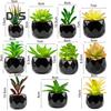 Artificial Plant Reusable Realistic PVC Fresh Keeping Easy Care Artificial Succulents Bonsai