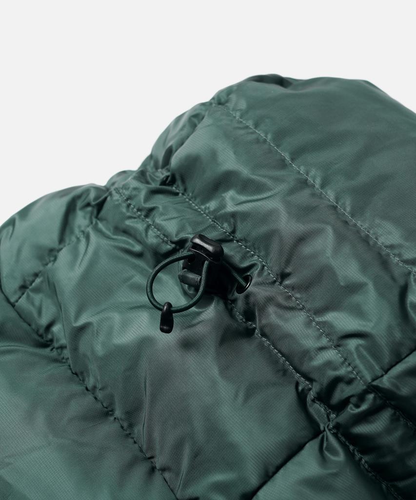 Frizmworks Altavia Down Parka _ Dark Green
