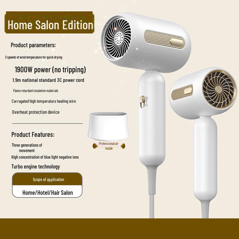 High-Power Blue Light Hair Dryer for Salon and Dorm Use