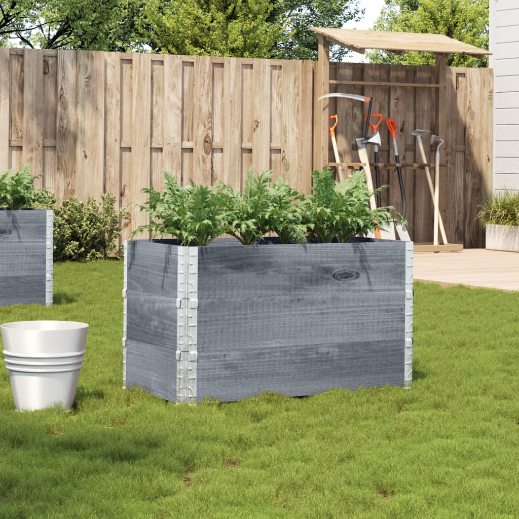 Planting Box Gray 100x50 Cm Solid Pine Wood