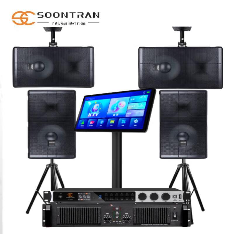 Songchuan SP101 Home Karaoke & Theater Sound System CN plug (adapter included)