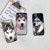 LO53 Husky Puppy Dog Soft Shell Phone Case for iPhone SE X XS XR 11 16E 17 Pro Max Air 8 7 6 6s Plus