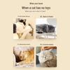 Hanhuan Leyuan Interactive Cat Toys Collection