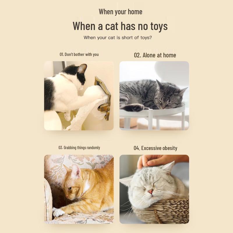 Hanhuan Leyuan Interactive Cat Toys Collection