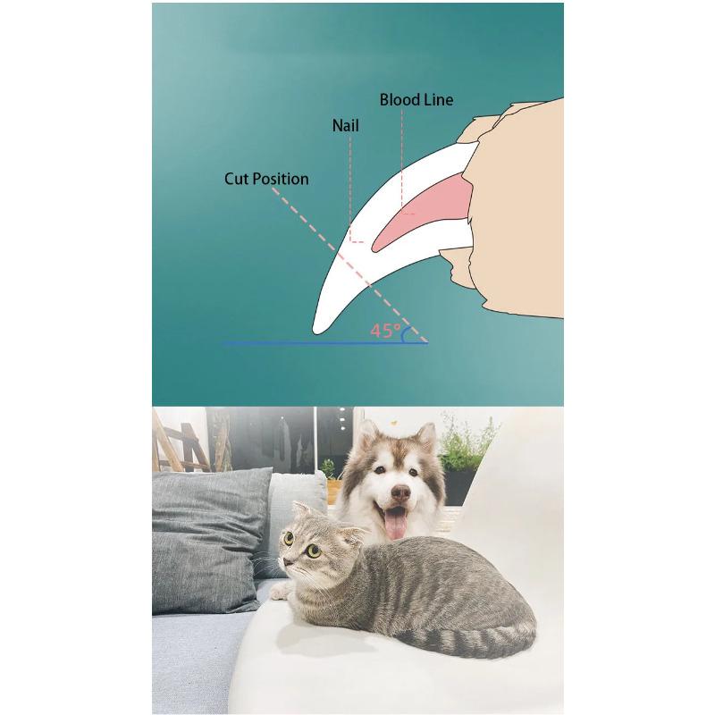Stainless Steel Blade Dog Cat Pets Nail Clippers PP+TPR Comfort Handle Household Nailclippers Supplies for Professionals
