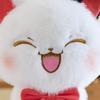 New Playful Animal Series Plush Toys Cute Fox Rabbit Cat Doll Children's Company Gift
