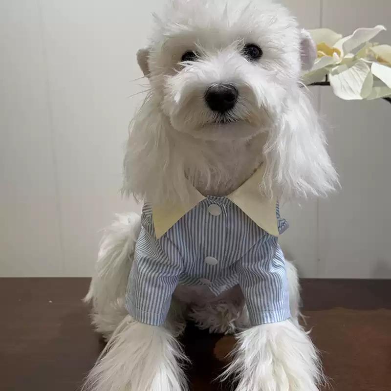 

Summer Dog Shirt Schnauzer Clothes Puppy Pomeranian Maltese Poodle Bihcon Welsh Corgi Dog Clothing Pet Apparel Costumes S синий