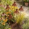 Weather Resistant Flower Outdoor Stake Rusted Iron Curved Petal Stake  Porch Pathway
