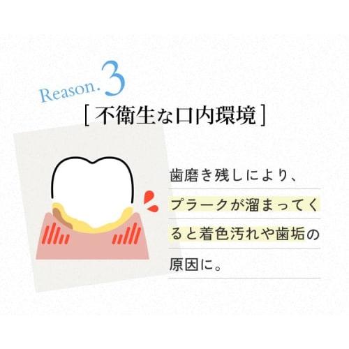 Biken Corporation Medicinal Pearl White Pro Shine Premium 40g