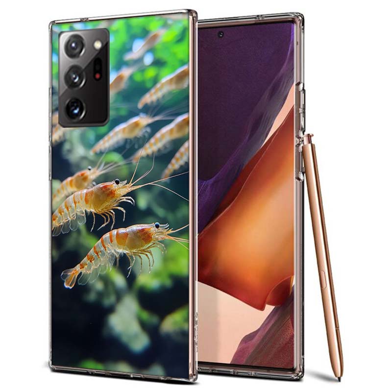A Beautiful and Unique Look at a Common Shrimp Phone Case for Samsung A55 A35 A25 A15 A07 A05S A16 A17 A26 A36 A37 A56 A57 Galax