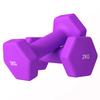 Set mit 2 Kurzhanteln 2x2 kg Sechseckig und Rutschfest für Zuhause und Fitnessstudio, aus Metall und Kunststoff, 16x7.5x7.5 cm, Lila
