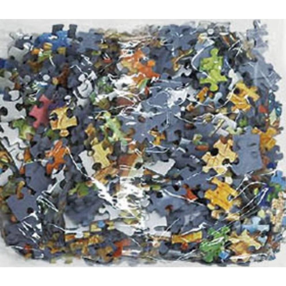 Haksan Publishing Lilia wodna Moneta 1906 Puzzle (1014 Sztuk)