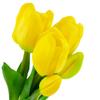 CV13899-8 TULIPS BOUQUET OF TULIPS PARROT ARTIFICIAL RUBBER FLOWERS 5 PCS Lifelike