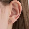 (SILVER 925) Black Stone Flower Tiny Earring JE040
