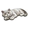 Slip Resistant Door Mat Cute Cat Bathroom Rug, Anti-Slip Absorbent Bath Washable Plush Tile And Wood Floor Kitty for Entrance Kitchen Home Decor