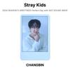 Stray Kids SALUTATIONS DE LA SAISON 2024 Journée Parfaite avec SKZ SOUND WAVE Photocard Officielle