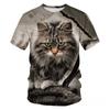 Summer Round Neck 3D Cute Cat Print Top Fashionable Casual Short Sleeved Men's T-shirts