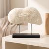 Coral Sculpture Textured with Base Modern for Bookshelf