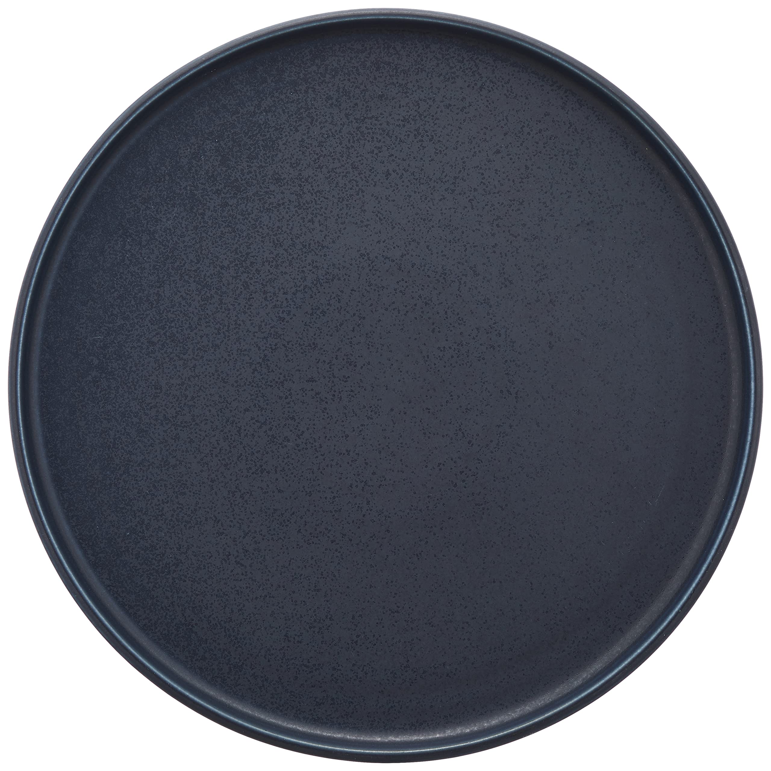 

TOKI1919 Flat 260 Cafe Plate, Pasta Plate, Dinner Plate, Approx. 26cm Diameter, French Style, Tableware, Hotel Restaurant Specifications, Microwave an
