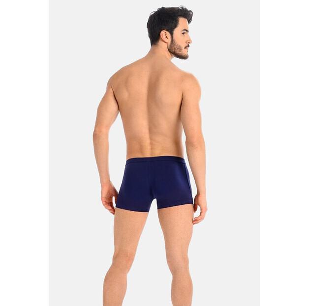 Боксеры Teyli Levi