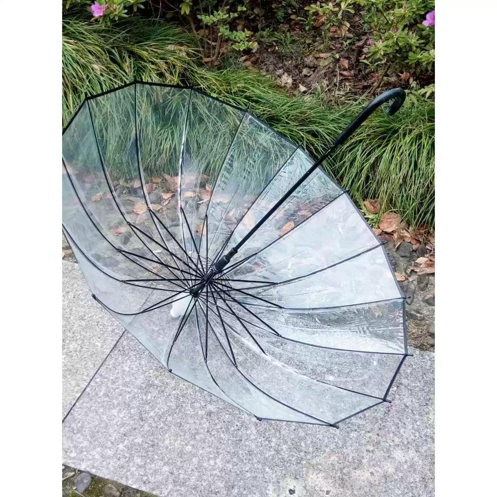 Transparent Umbrella with Waterproof Cover, 16-Bone Automatic Bending Structure, Long Handle, Wind-Resistant, for Retail Sale