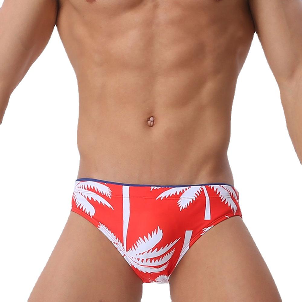 Men's  Fashion Strips Sexy Men's Brief Sexy Printed Swimsuit for Men Surfing Swimwear Low-Rise