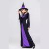 Women's Purple Witch Long Dress, Halloween Adult Cosplay Role Play Stage Performance Costume
